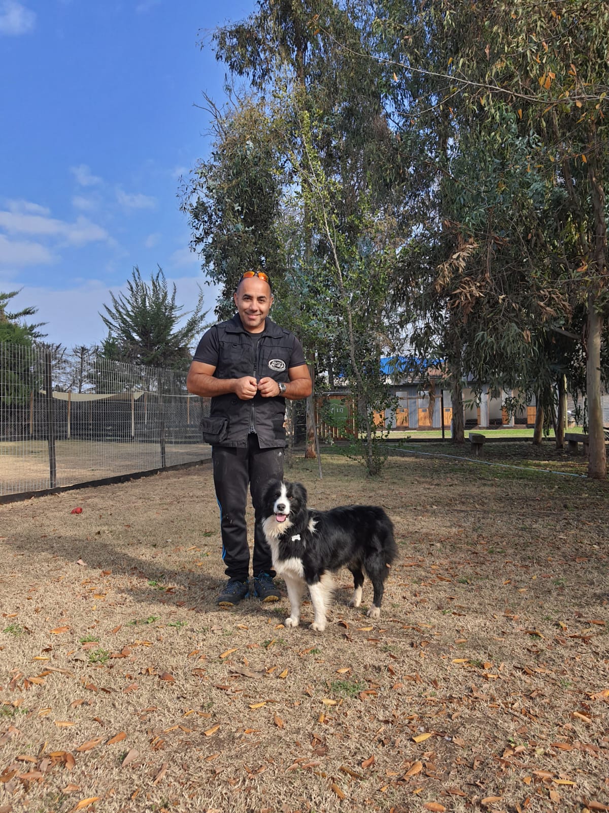 Tralkan Educación Canina - Maipo - Adiestramiento de perros - Clases privadas