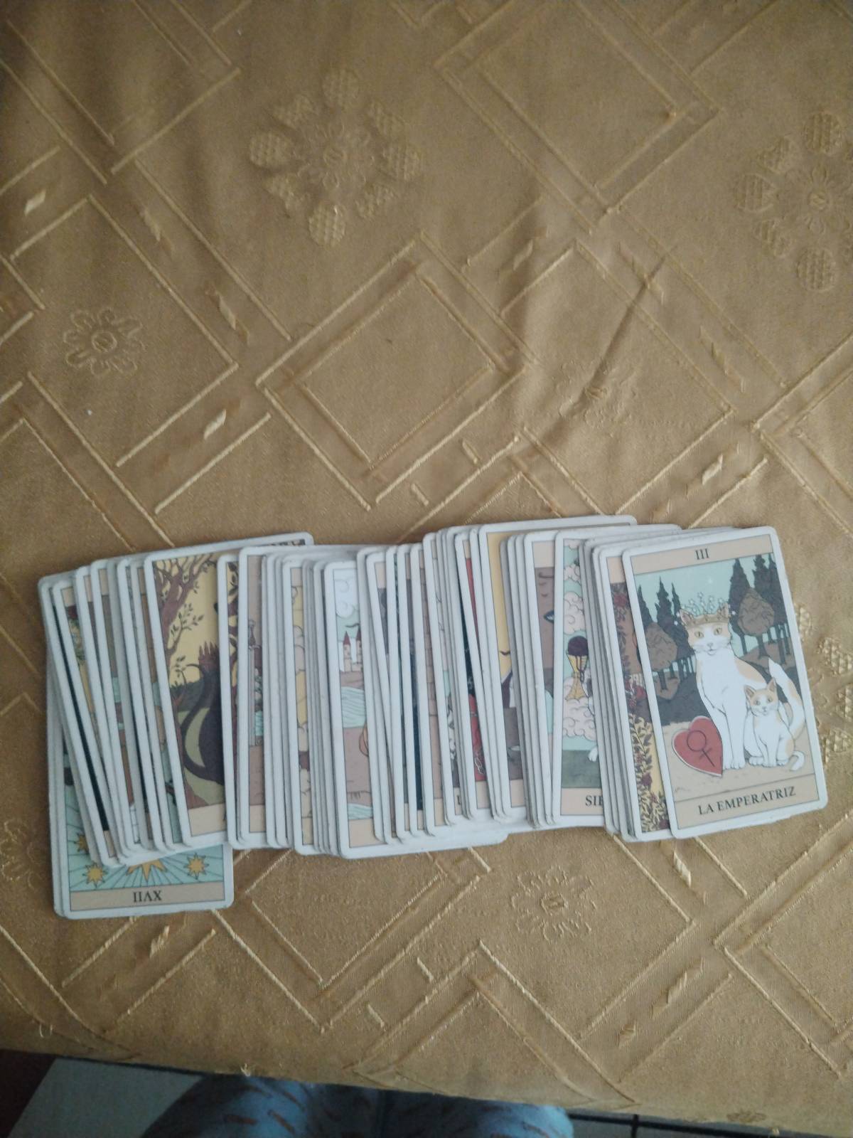 Sofi - Santiago - Tarot Card Reader Entertainment