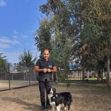 Tralkan Educación Canina - Maipo - Adiestramiento de perros - Clases privadas