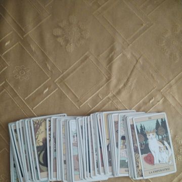 Sofi - Santiago - Tarot Card Reader Entertainment