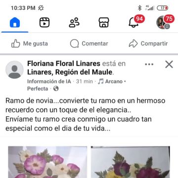 Floriana Floral - Linares - Linares - Florista de Casamentos