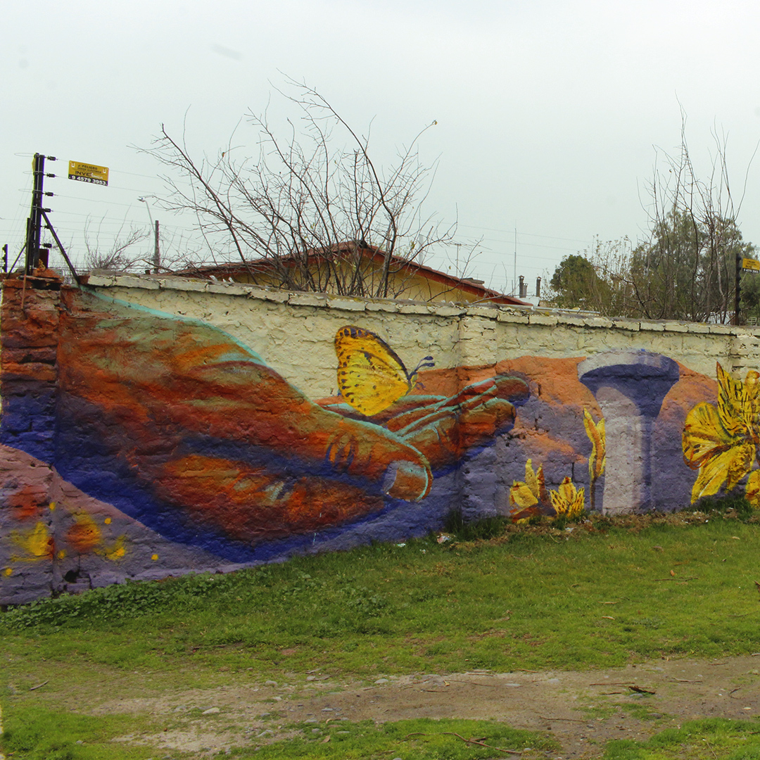 Serpientesal - Santiago - Muralist