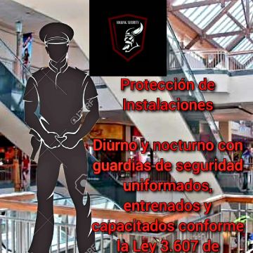 Vikking Security Services Spa - Maipo - Seguridad y alarmas