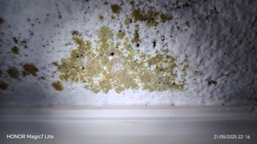 Especialista en impermeabilización del hogar