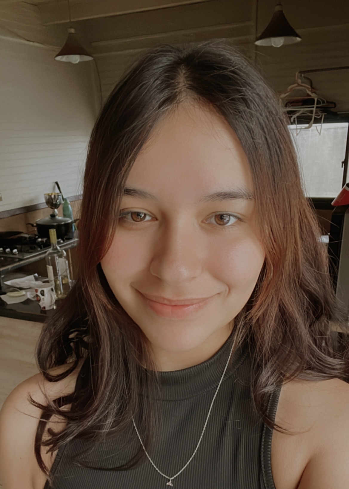 Valentina Avaria - Valdivia - House Cleaning (Recurring)