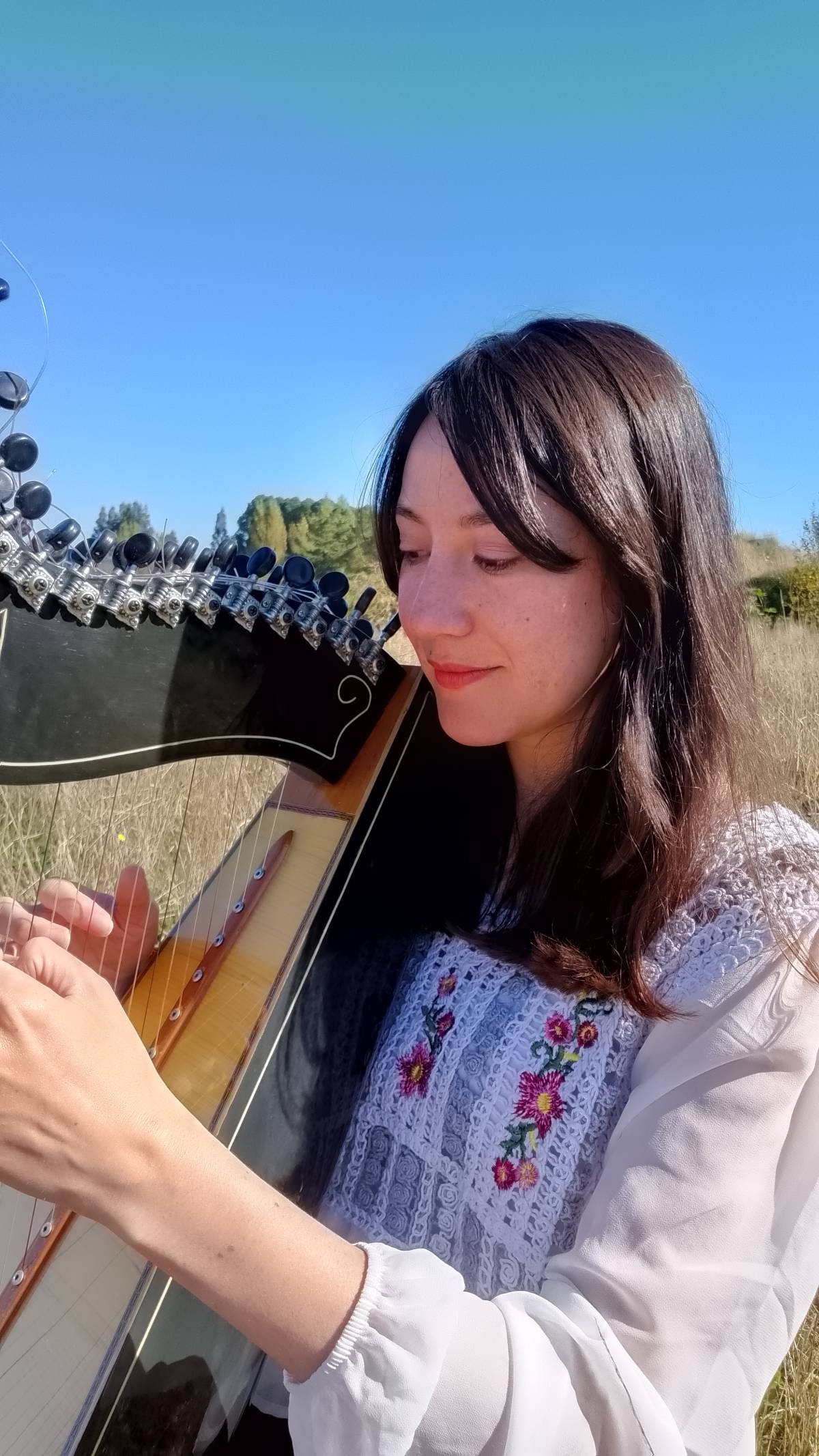 Servicios musicales - Llanquihue - Clases de harpa (para niños o adolescentes)