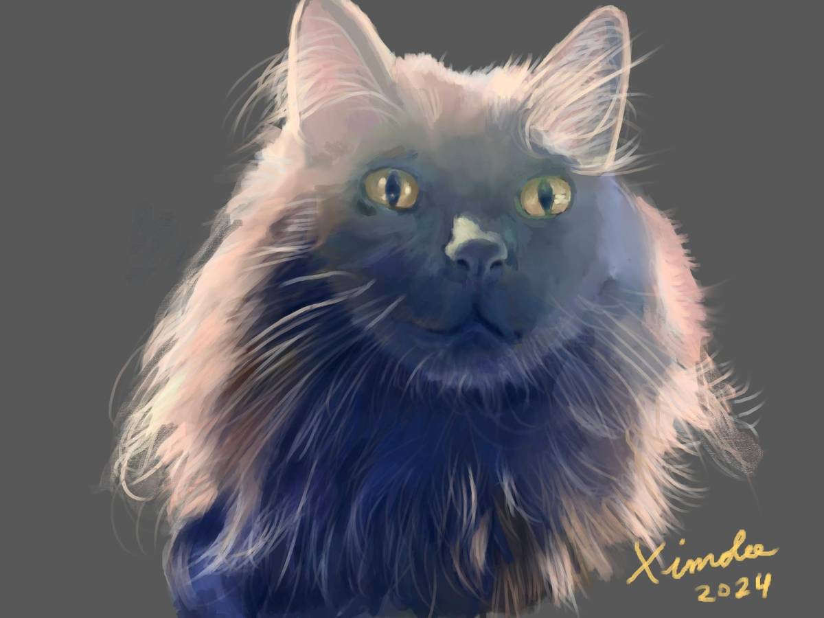 inmortalizeart - Concepción - Abogados especialistas en impuestos