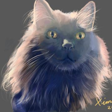 inmortalizeart - Concepción - Abogados especialistas en impuestos