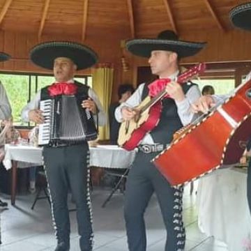 Servicio de serenatas con Mariachis a Domicilio - Osorno - Servicios de barman