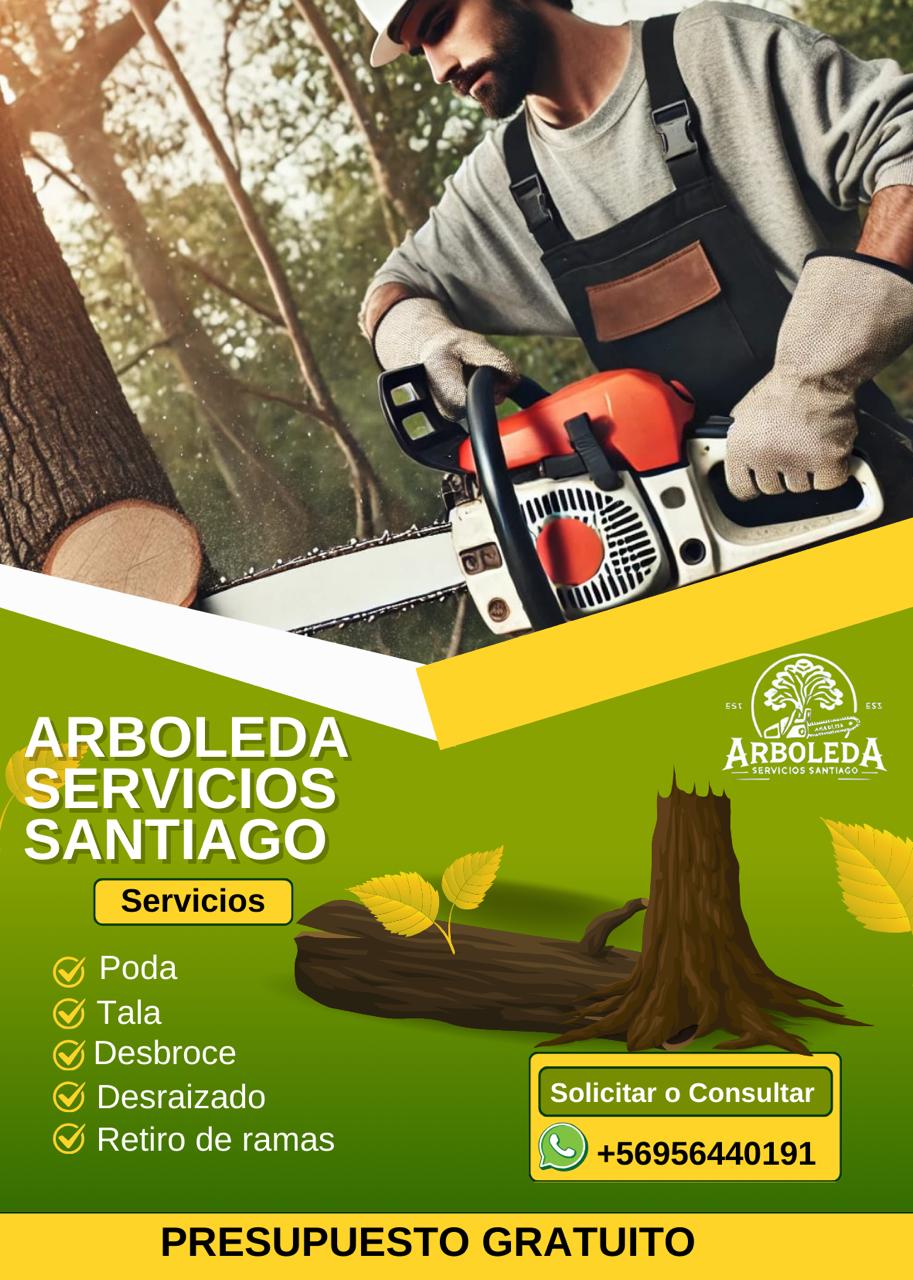 Arboleda Servicios Santiago - Santiago - Tree Trimming and Maintenance