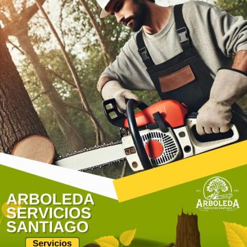 Arboleda Servicios Santiago - Santiago - Tree Trimming and Maintenance