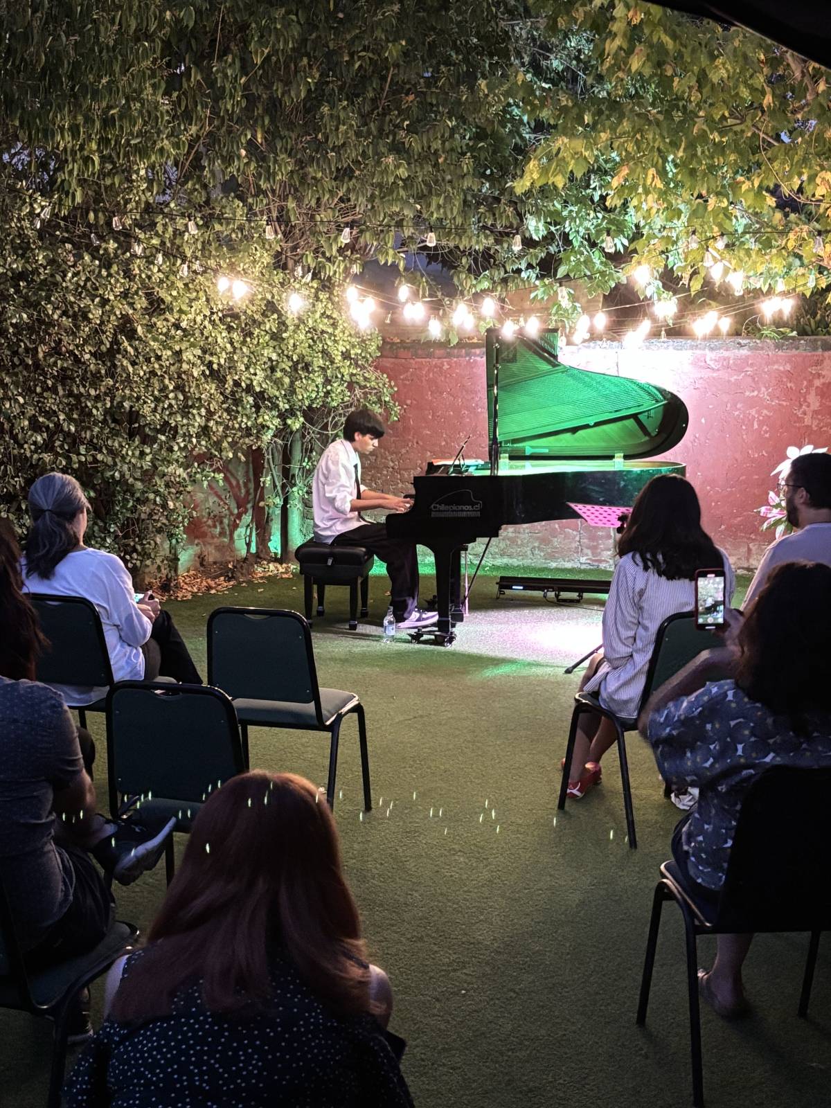 Chilepianos - Santiago - Repair and Tech Support - Other Equipments