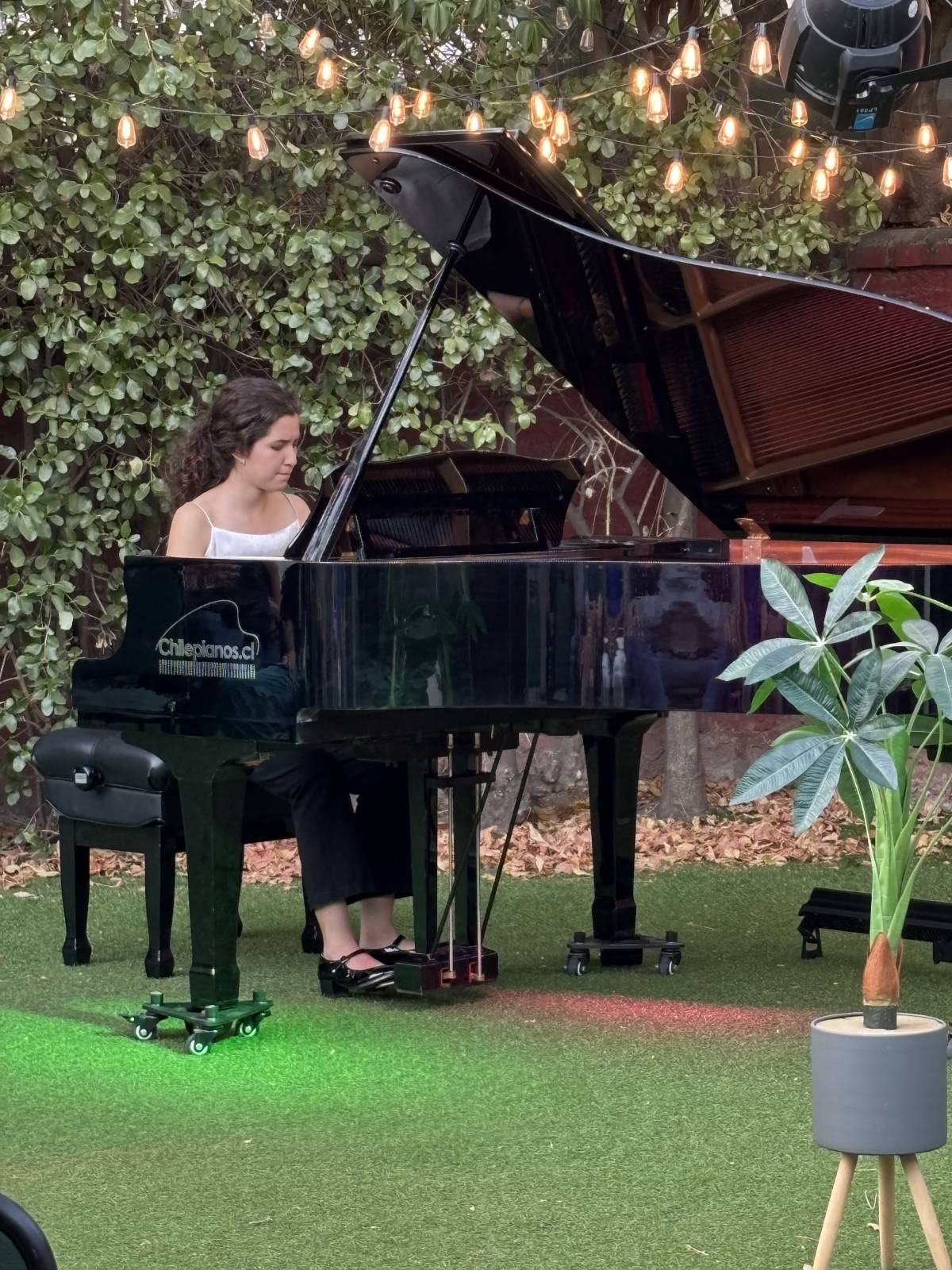 Chilepianos - Santiago - Piano Tuning