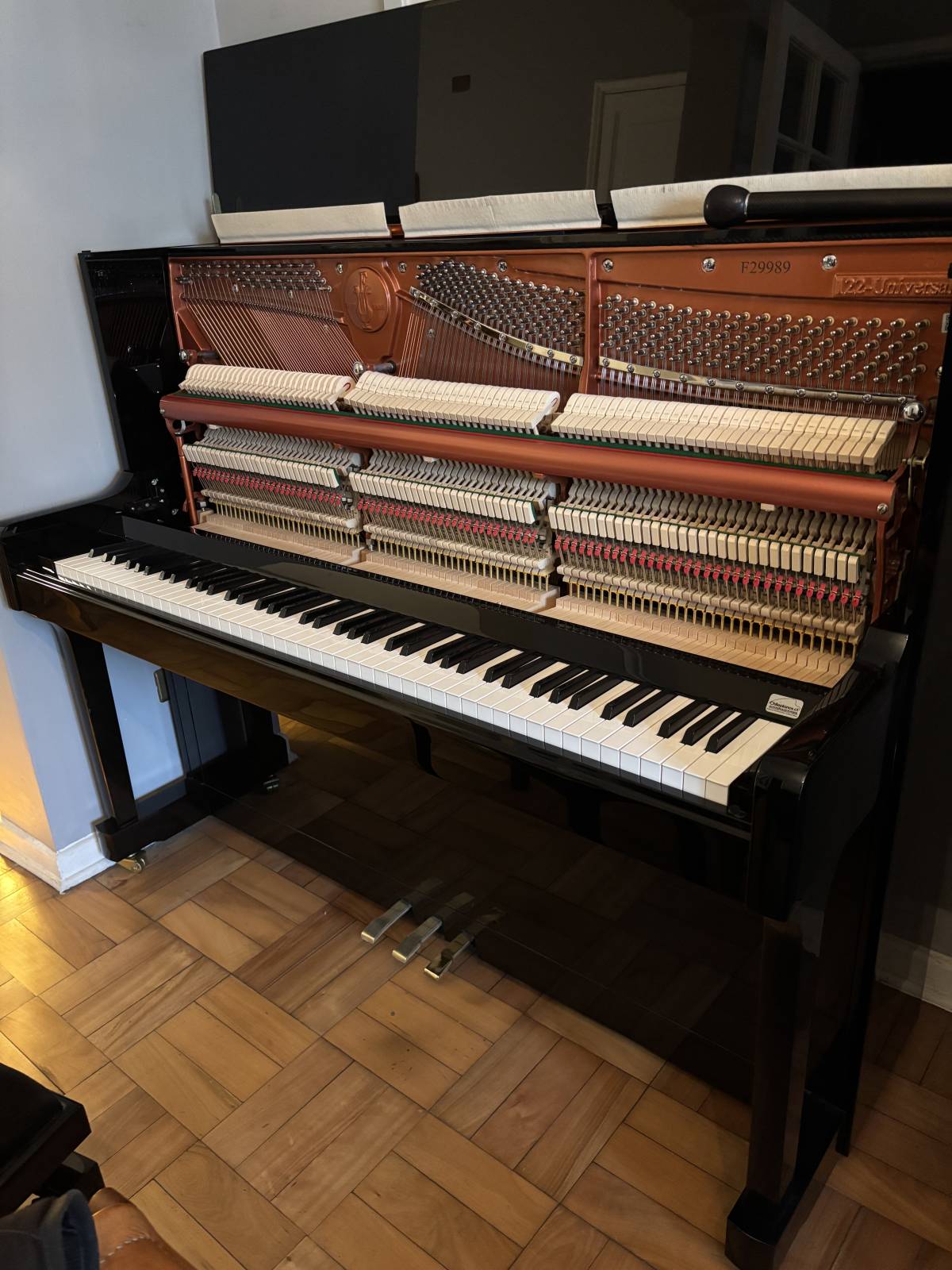 Chilepianos - Santiago - Repair and Tech Support - Other Equipments
