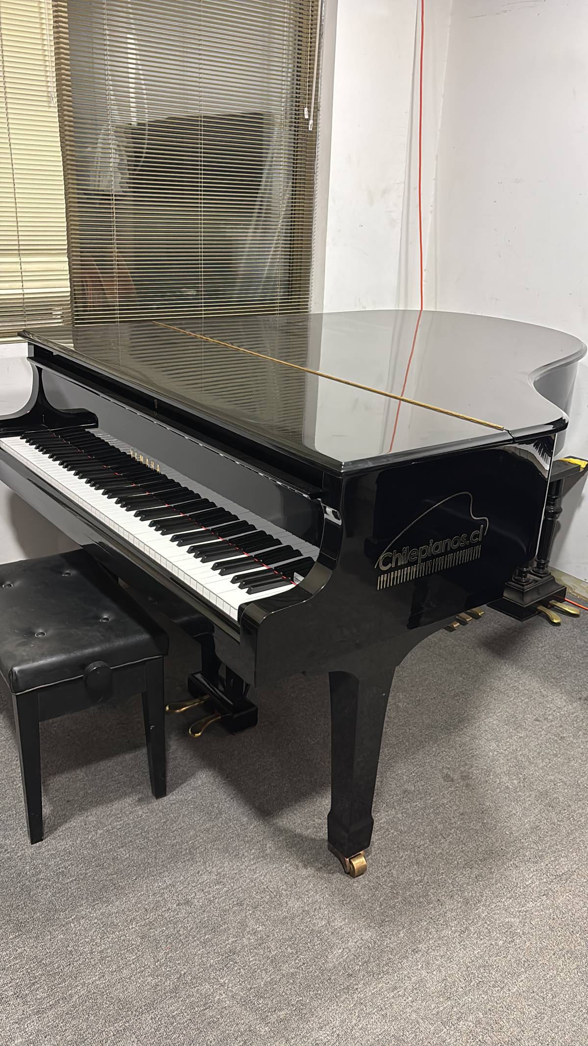 Chilepianos - Santiago - Repair and Tech Support - Other Equipments