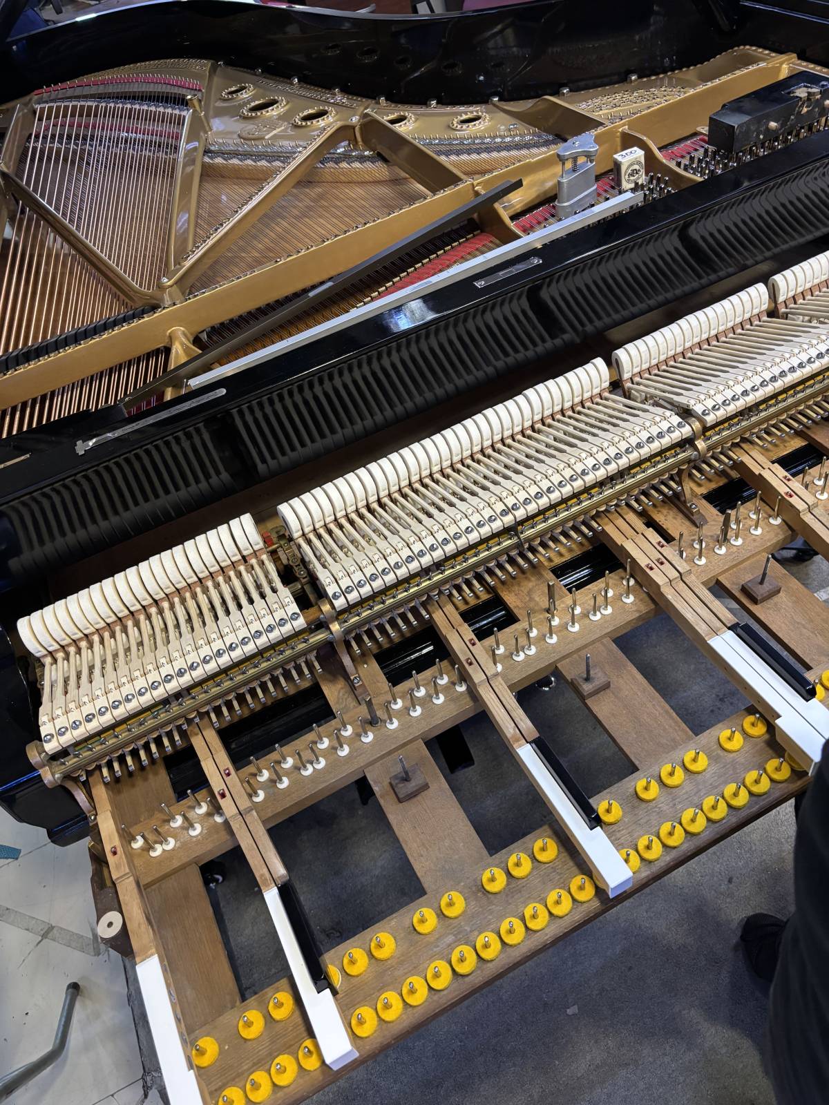 Chilepianos - Santiago - Piano Tuning