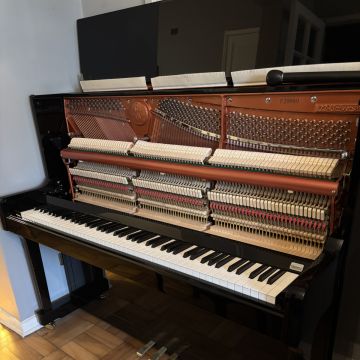 Chilepianos - Santiago - Repair and Tech Support - Other Equipments
