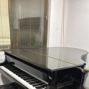 Chilepianos - Santiago - Repair and Tech Support - Other Equipments