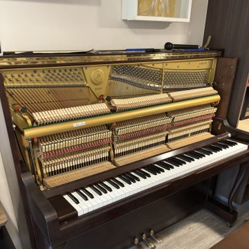 Chilepianos - Santiago - Repair and Tech Support - Other Equipments