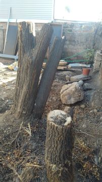 Stump Grinder