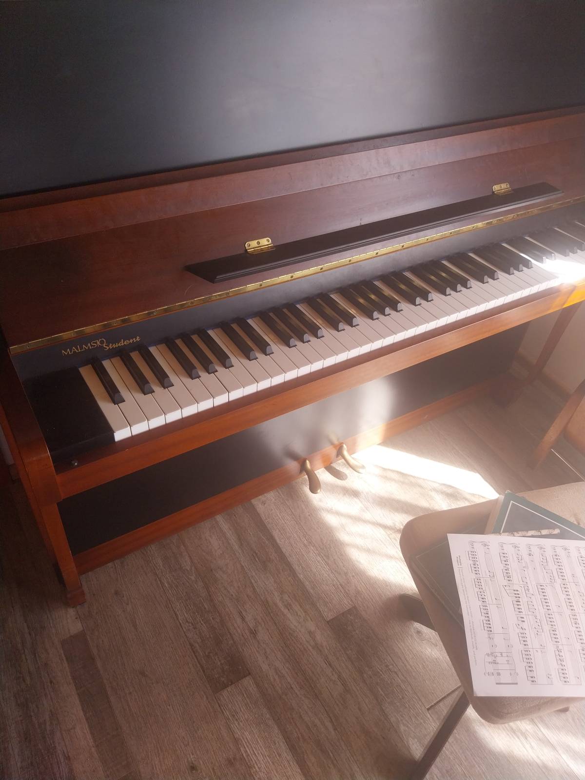 Afinador de pianos - Quillota - Aulas de Violino