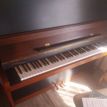 Afinador de pianos - Quillota - Aulas de Violino