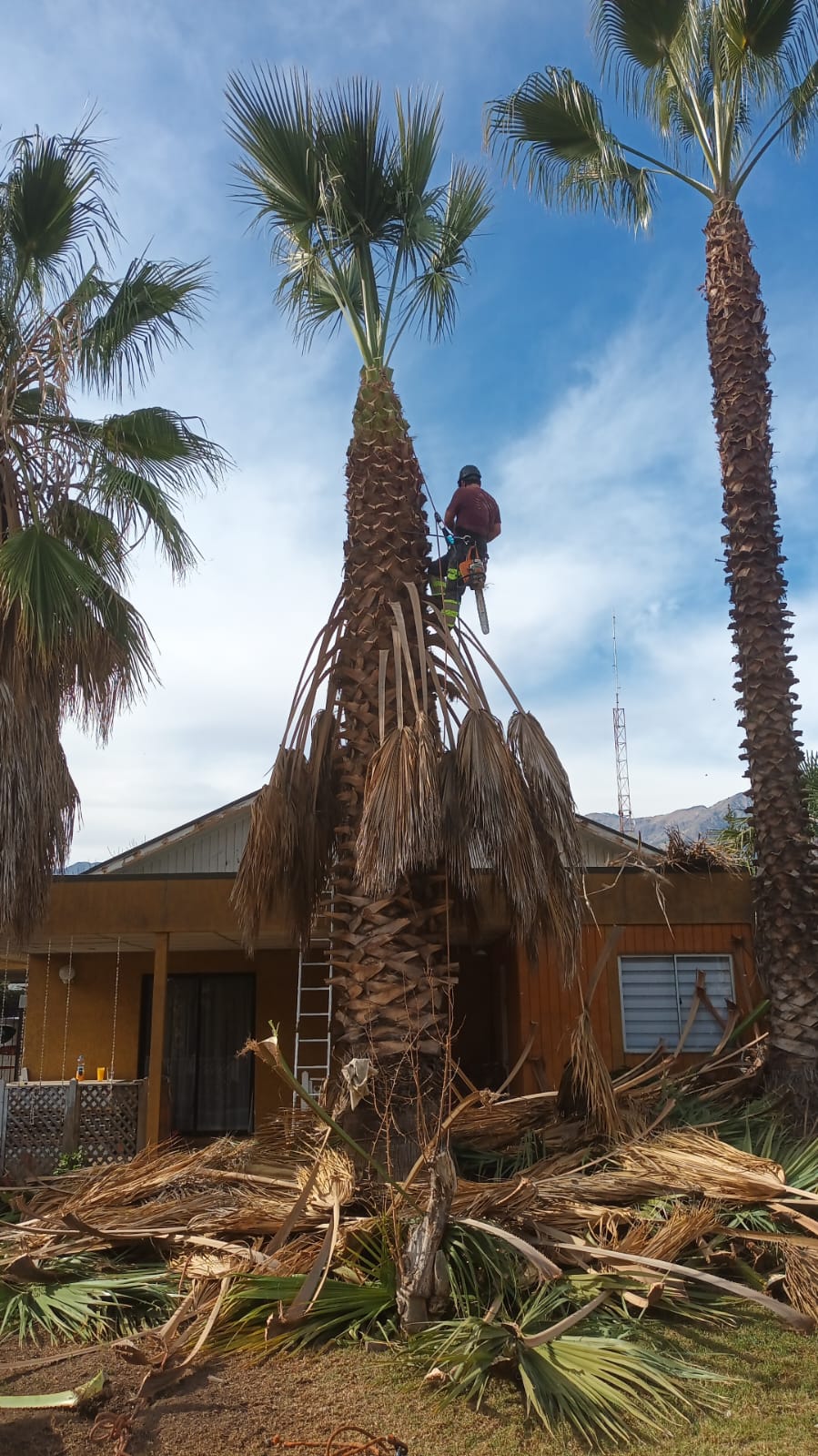 MB Arboristas Chile - Santiago - Multi Service Lawn Care