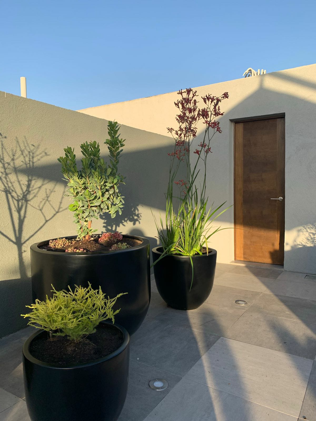 Oh!Da Green - Santiago - Drip Irrigation System Installation