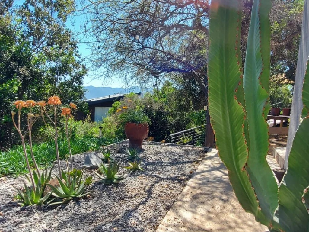 Oh!Da Green - Santiago - Sod Installation