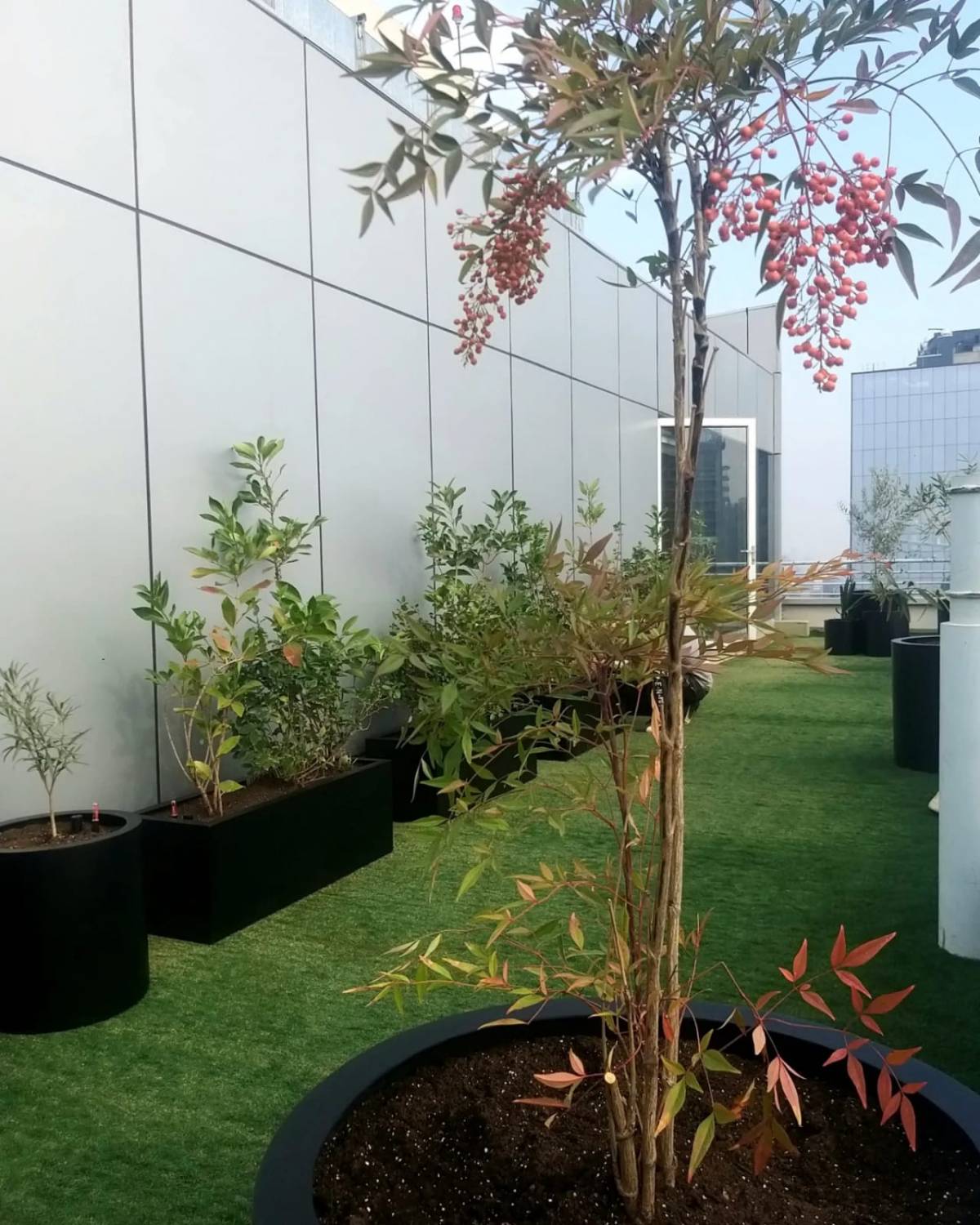 Oh!Da Green - Santiago - Outdoor Landscaping
