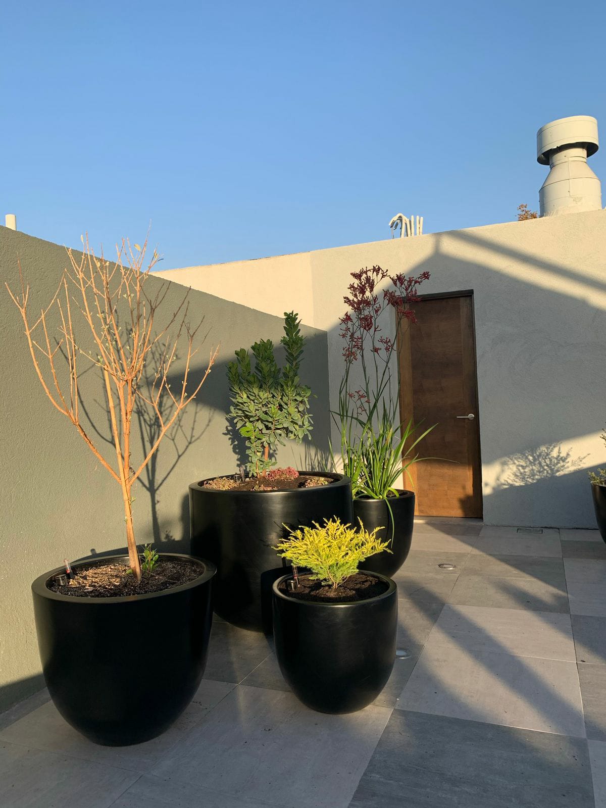 Oh!Da Green - Santiago - Landscaping