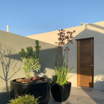 Oh!Da Green - Santiago - Drip Irrigation System Installation