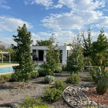 Oh!Da Green - Santiago - Outdoor Landscaping