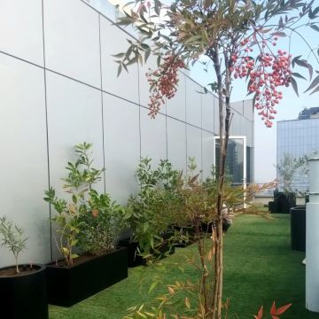 Oh!Da Green - Santiago - Outdoor Landscaping