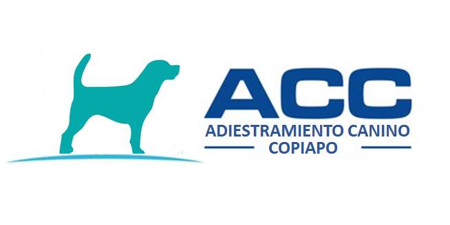 Adiestramiento Canino Copiapo (ACC) - Copiapó - Adiestramiento de perros - Clases privadas