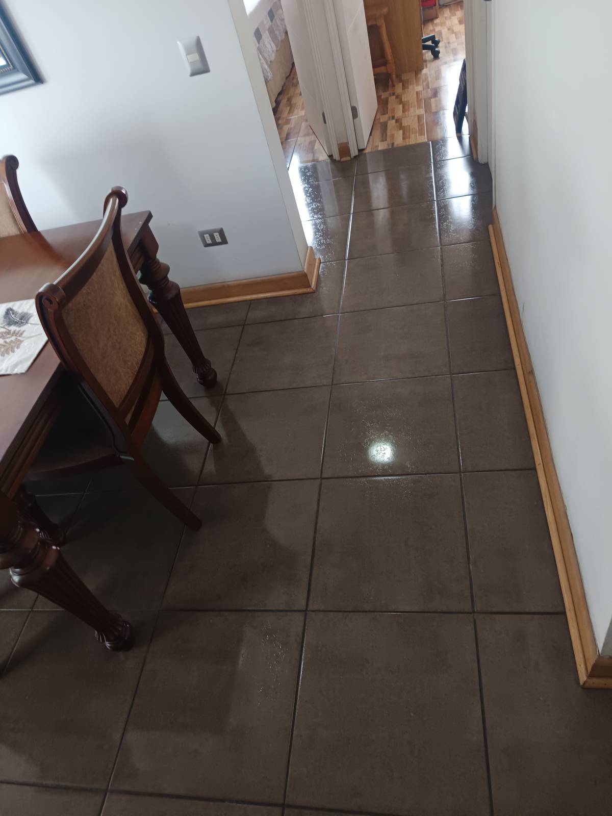 Elimpiq Ltda. - Iquique - Cleaning Out