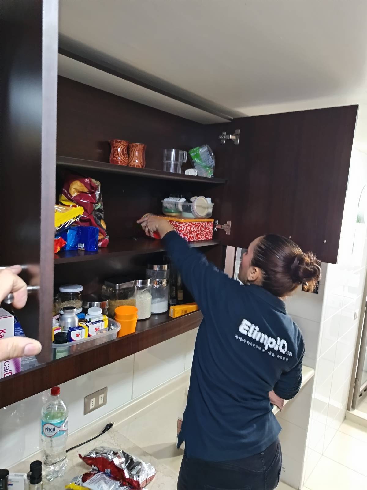 Elimpiq Ltda. - Iquique - Upholstery and Furniture Cleaning