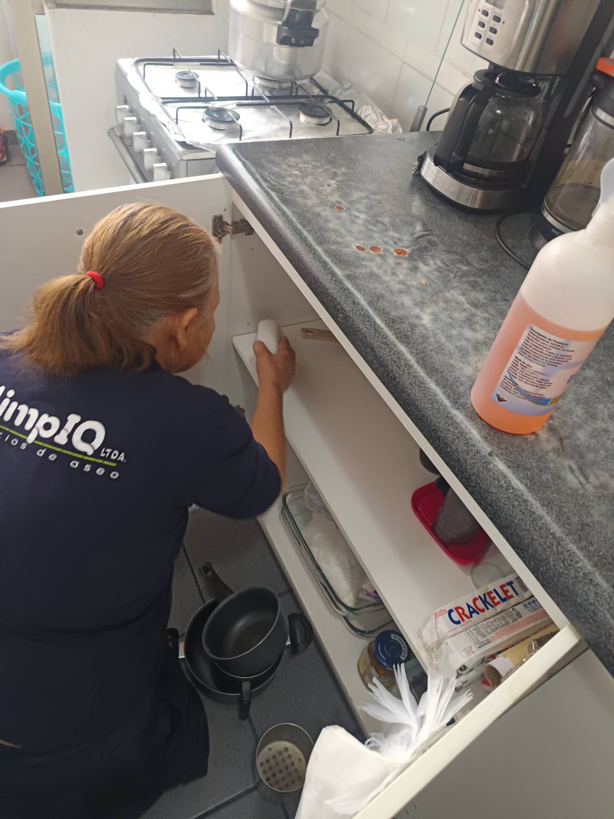 Elimpiq Ltda. - Iquique - House Cleaning (Recurring)