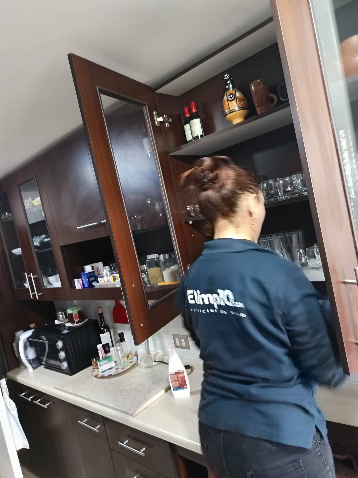 Elimpiq Ltda. - Iquique - Upholstery and Furniture Cleaning
