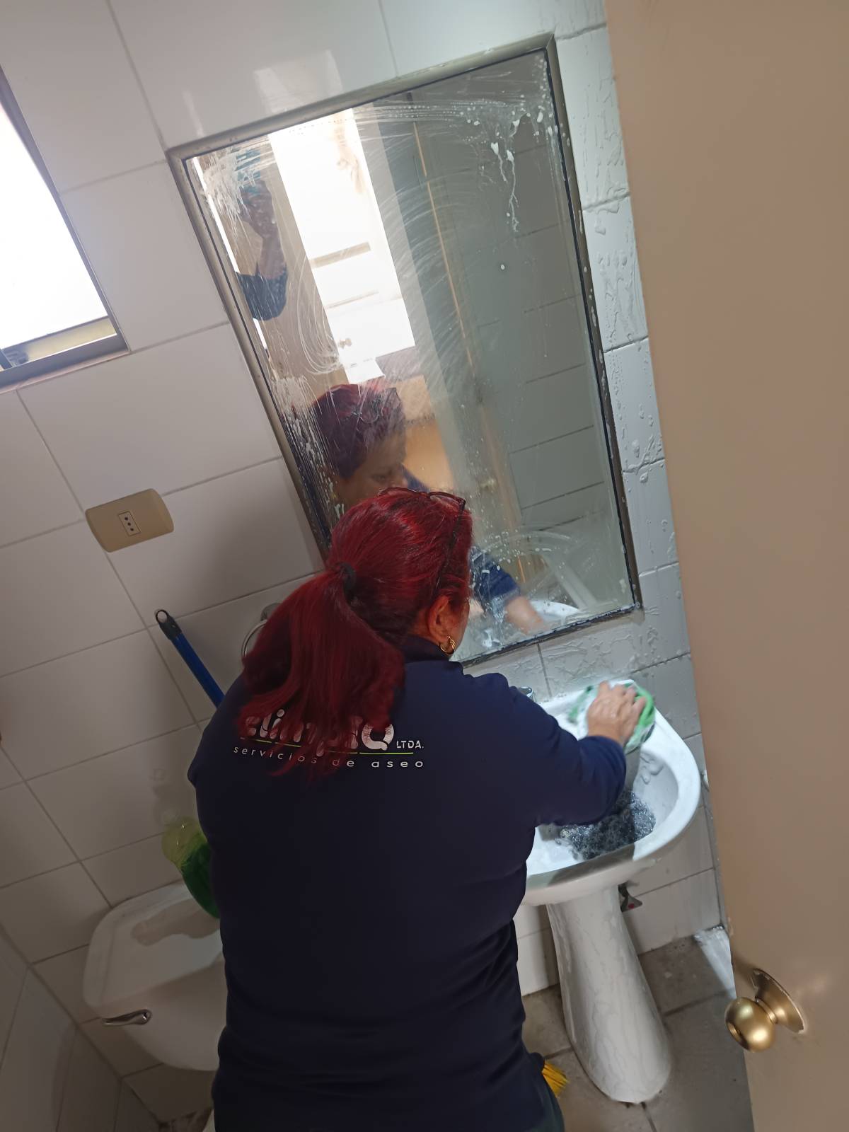 Elimpiq Ltda. - Iquique - Mold Inspection and Removal