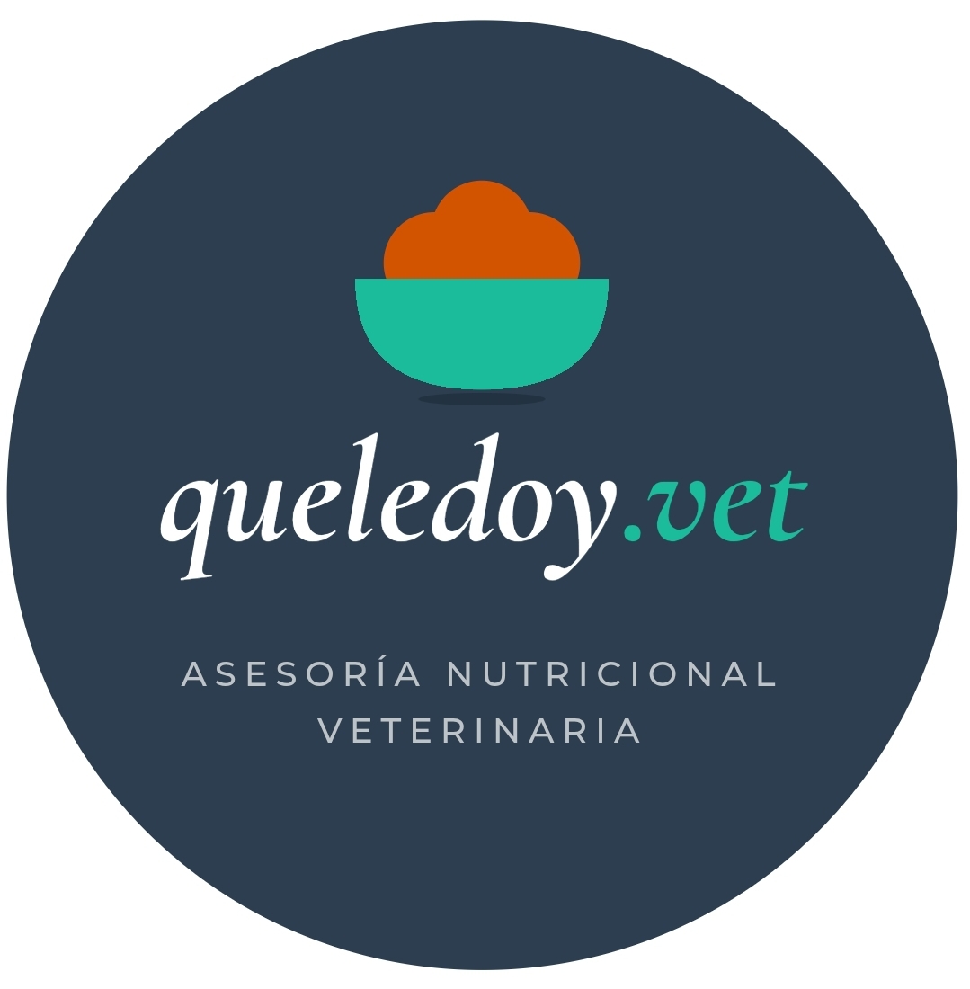  - Chiloé - Veterinario