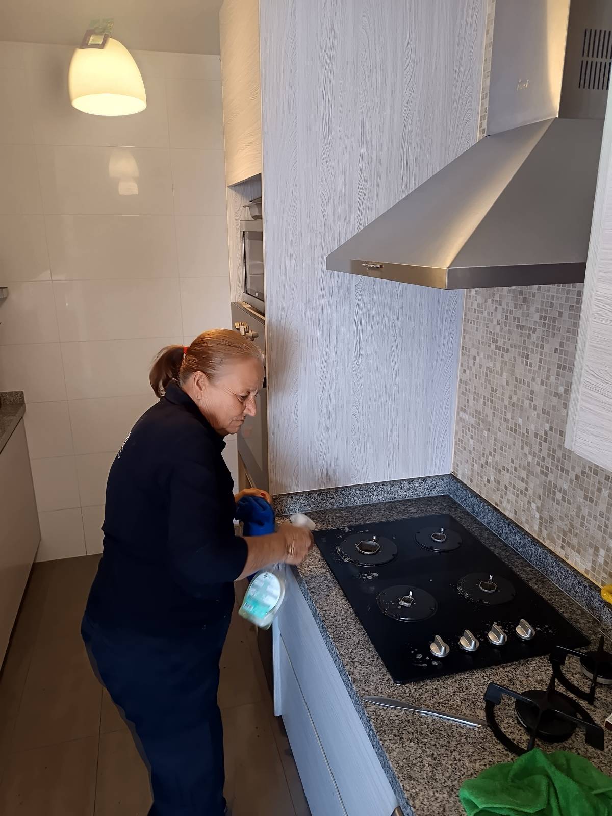 Elimpiq Ltda. - Iquique - Rug Cleaning