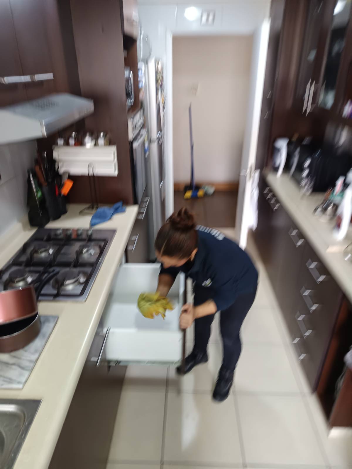 Elimpiq Ltda. - Iquique - Carpet Cleaning