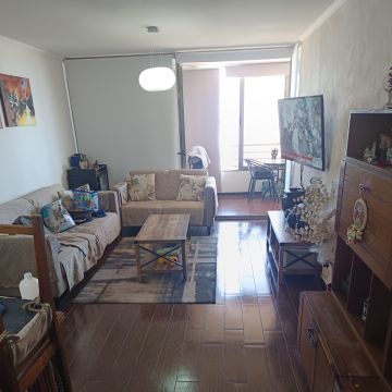 Elimpiq Ltda. - Iquique - Mold Inspection and Removal