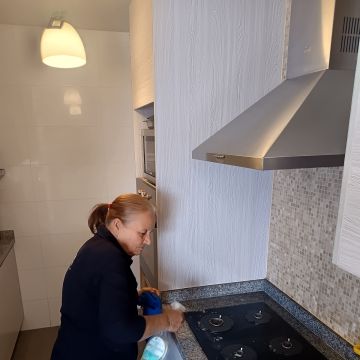 Elimpiq Ltda. - Iquique - Rug Cleaning