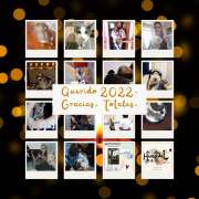 Huespet.Iqq - Iquique - Pet Boarding and Daycare