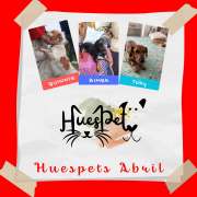 Huespet.Iqq - Iquique - Pet Hotel