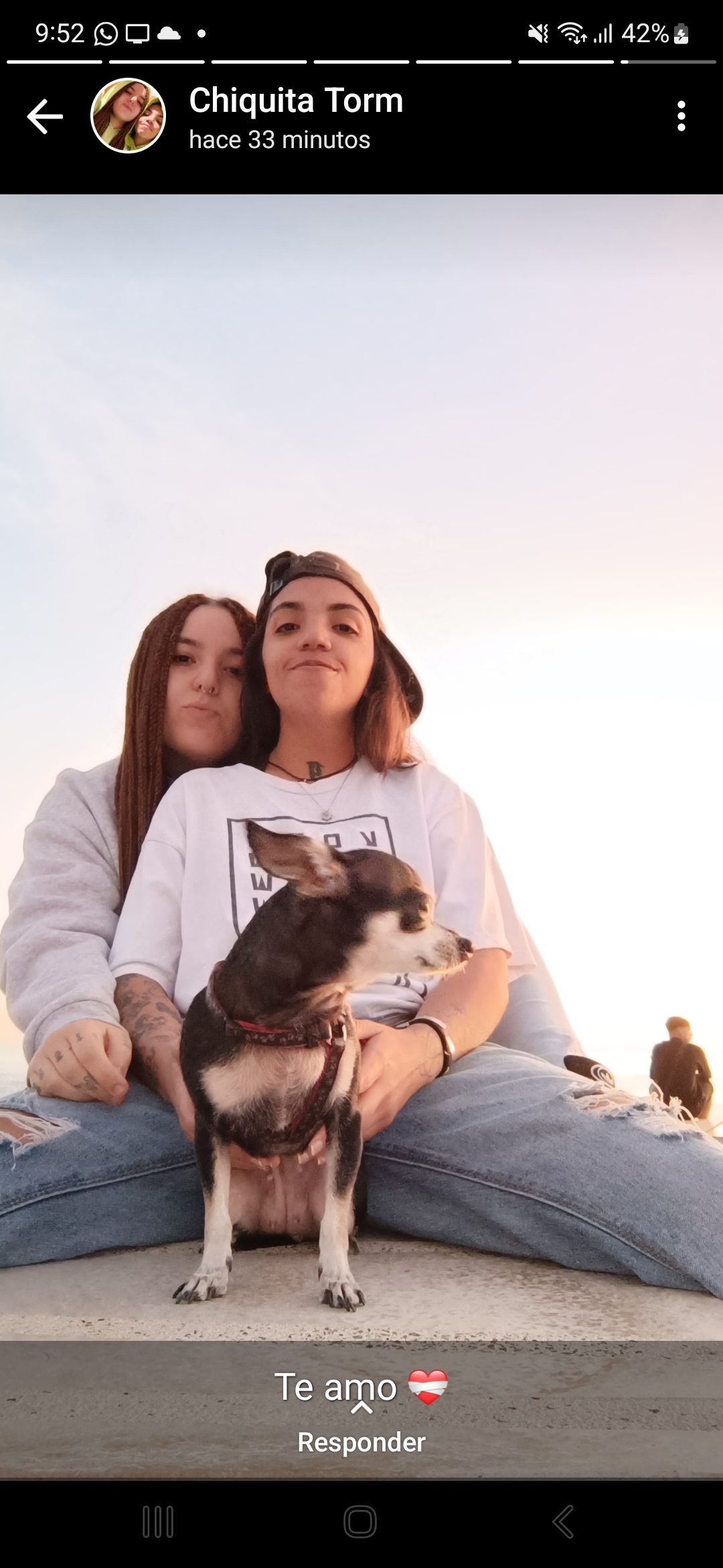 Iris Giovanna Arellano - Arica - Cat Sitting