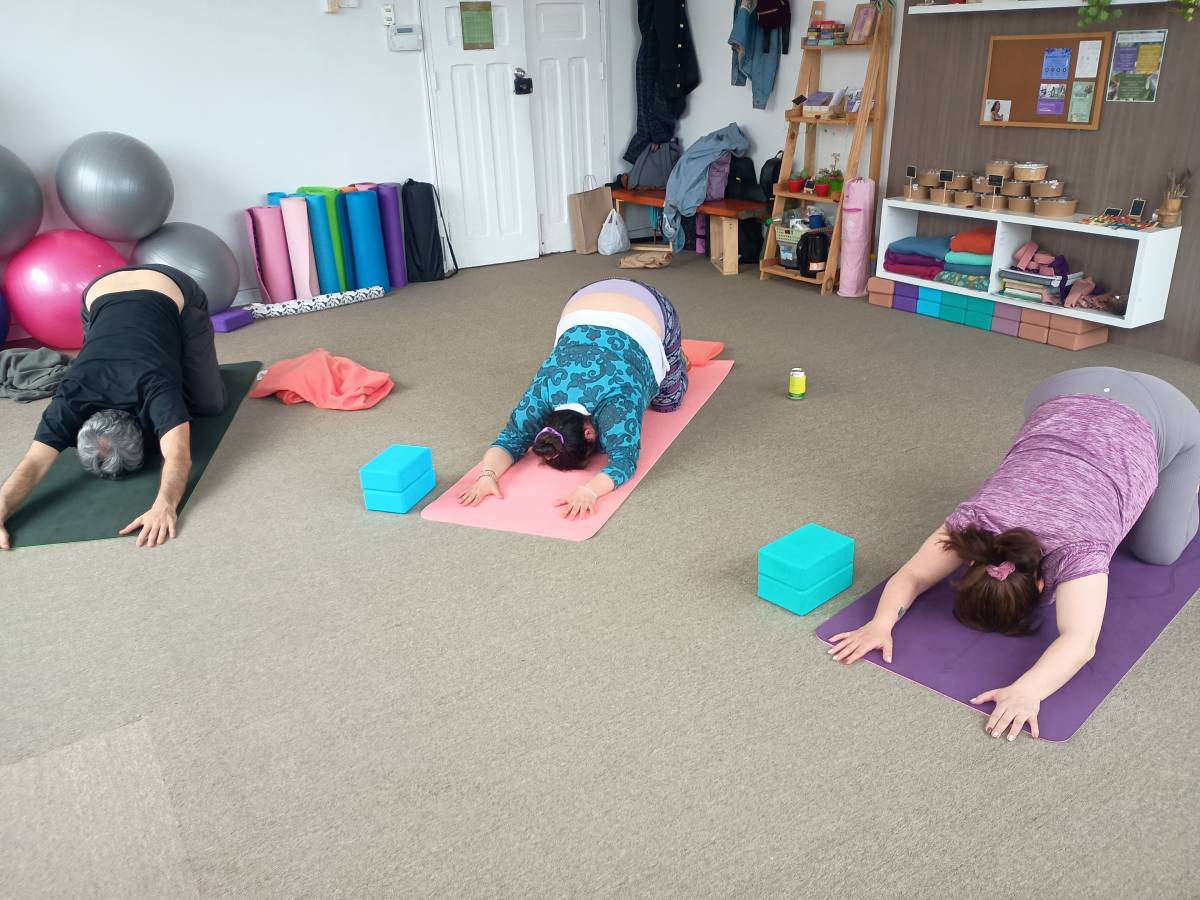 Flowka Yoga - Valdivia - Vinyasa Flow Yoga