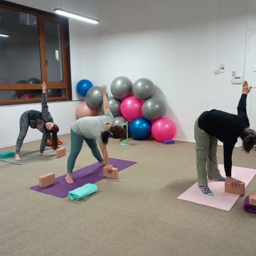 Flowka Yoga - Valdivia - Vinyasa Flow Yoga